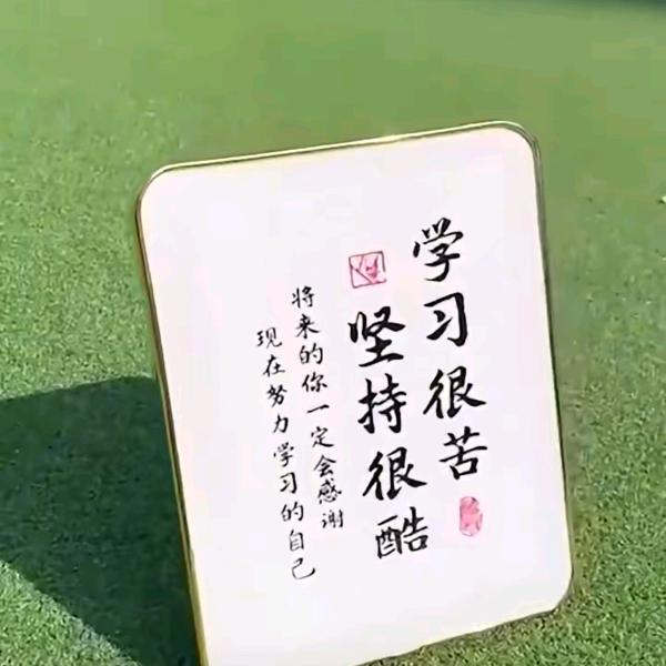 小☞🐷☜会飞