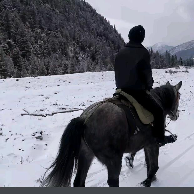 人才集结号