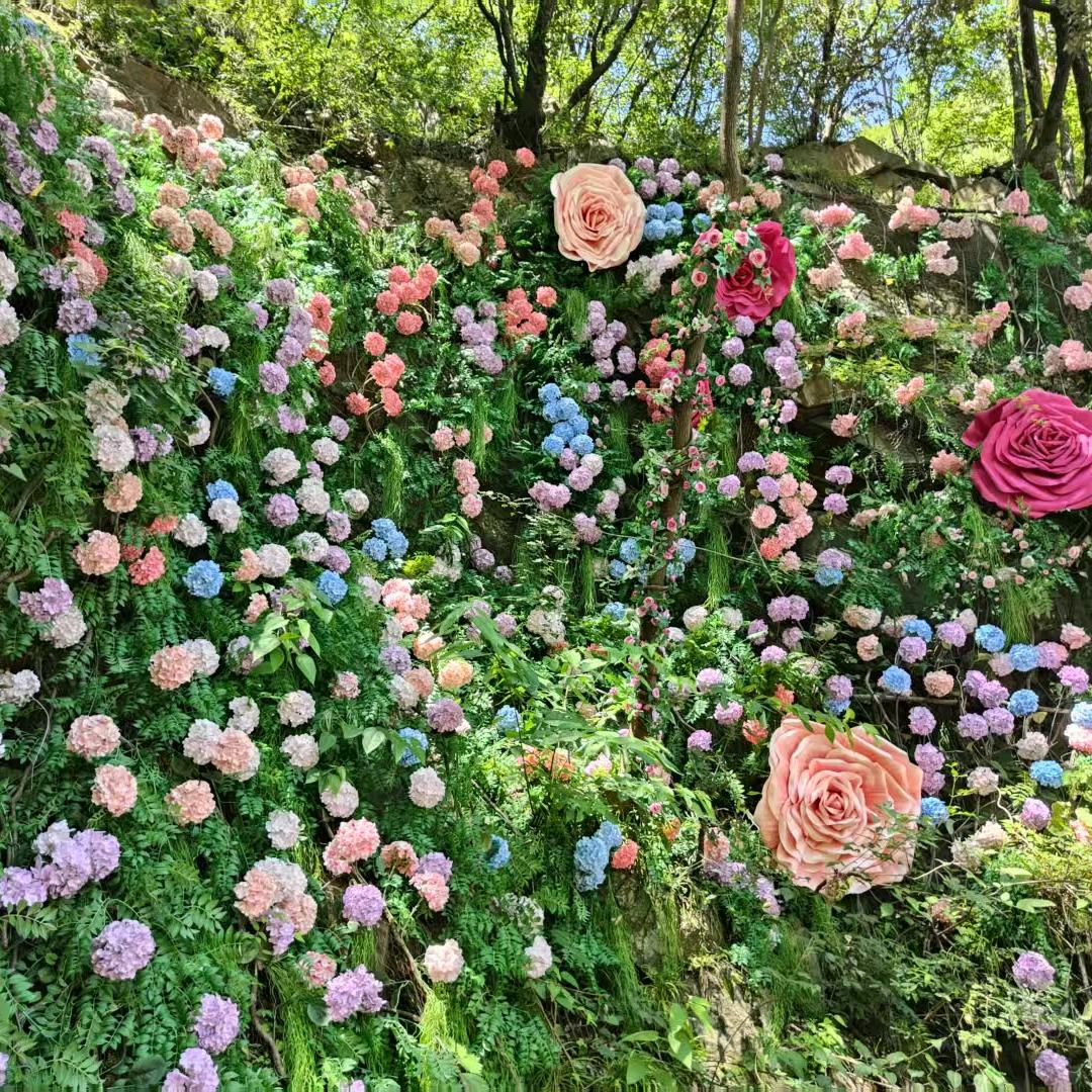秦时明月