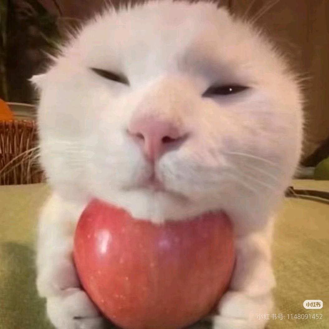 斯嘎尔说ta想你了