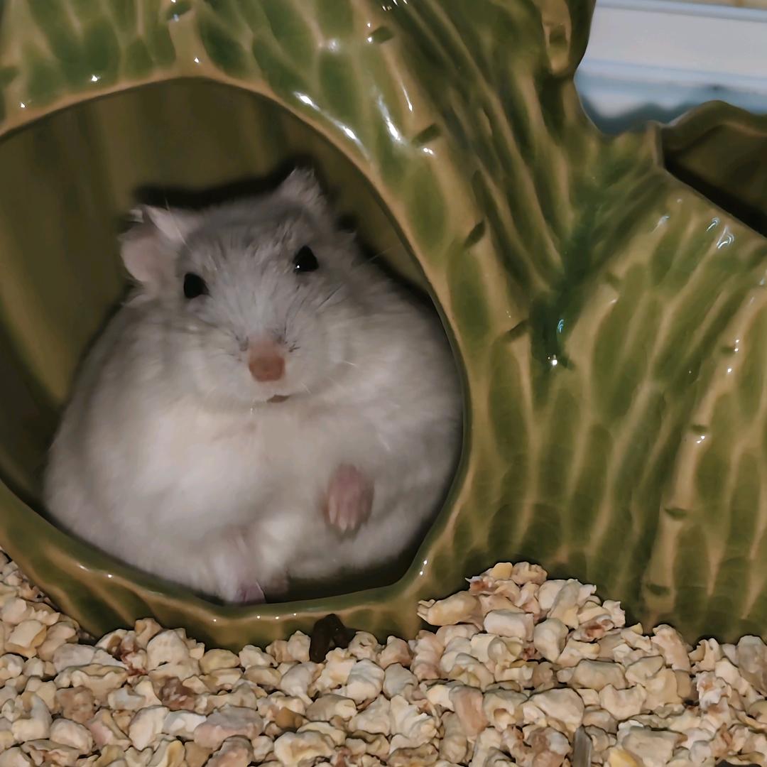 养૮ ºﻌºა乐多多