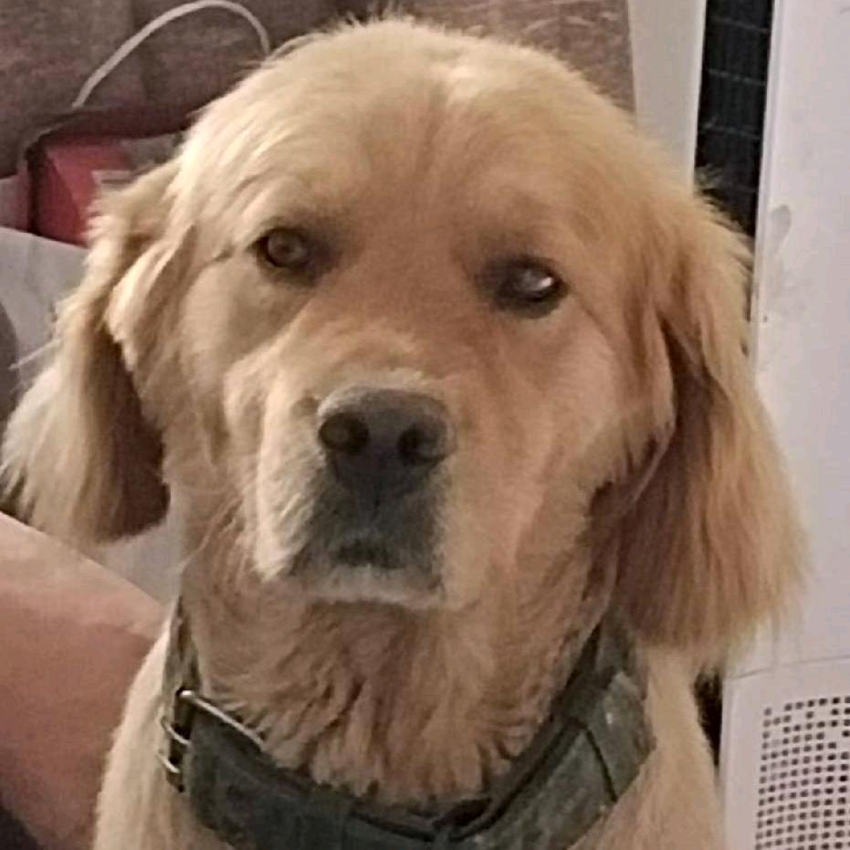 鱼跃天空任鸟飞