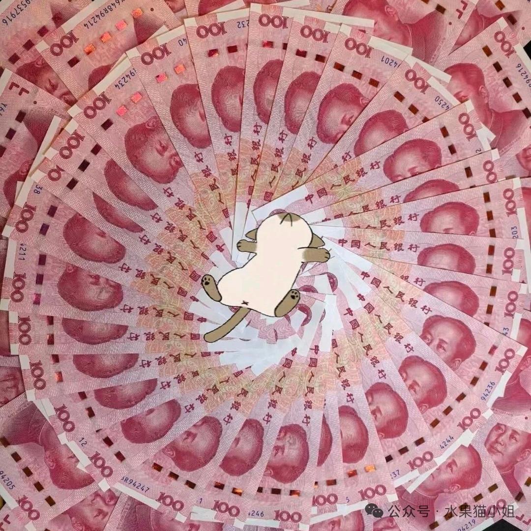 小豆每天都睡好觉