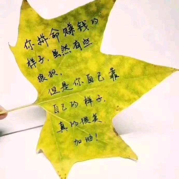 点。。。。。