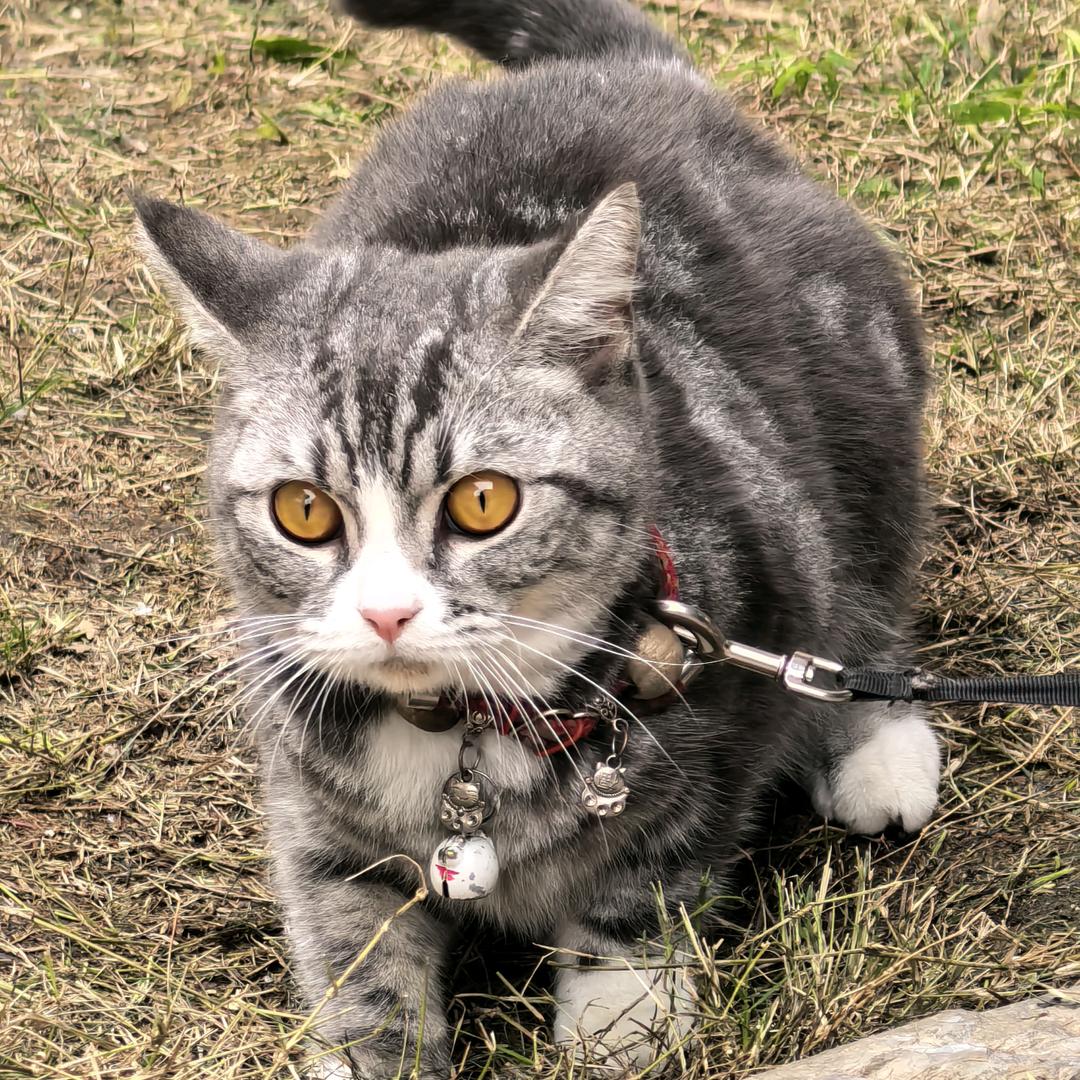 我是读《春秋》的