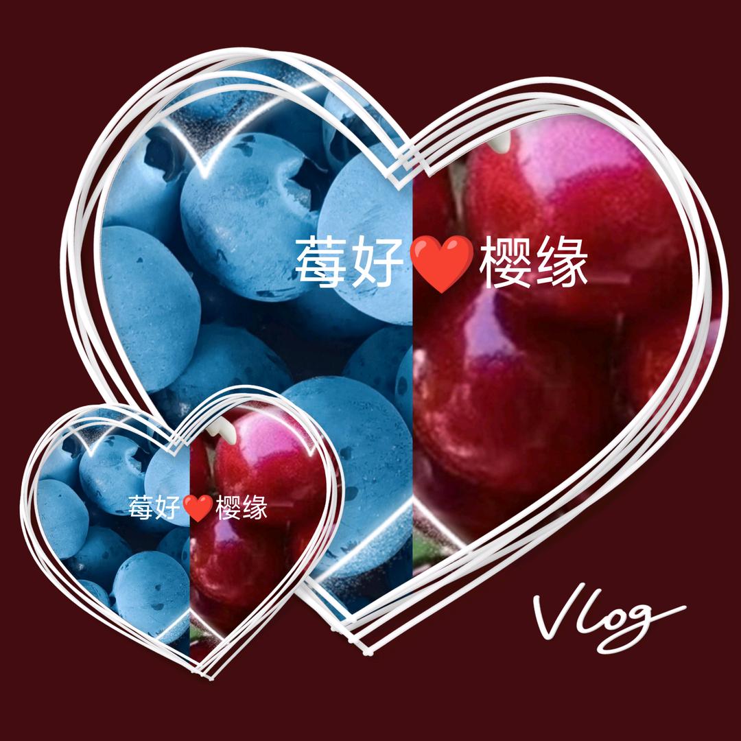 《莓好樱缘》家庭农场—莓好生活樱为有你