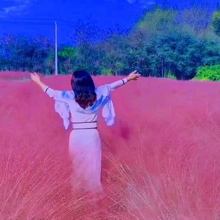 待到山花烂漫时，她在丛中笑……