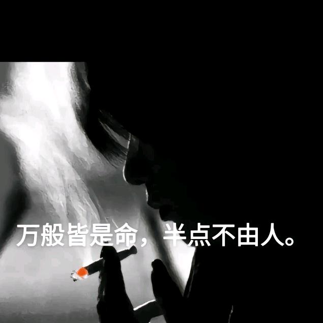 香烟美酒.篮子与狗