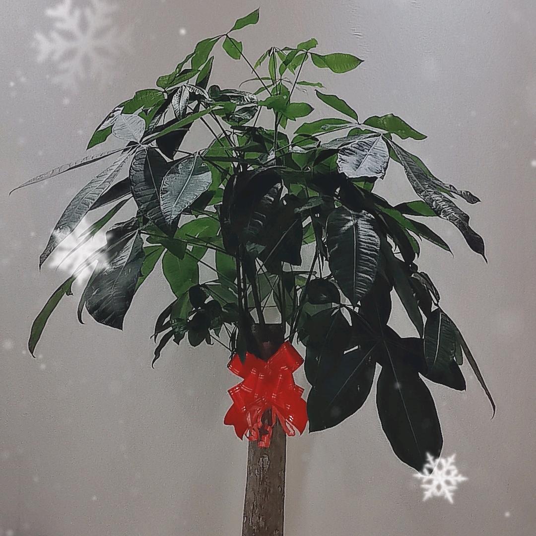 幸福🇨🇳🇨🇳👫👫