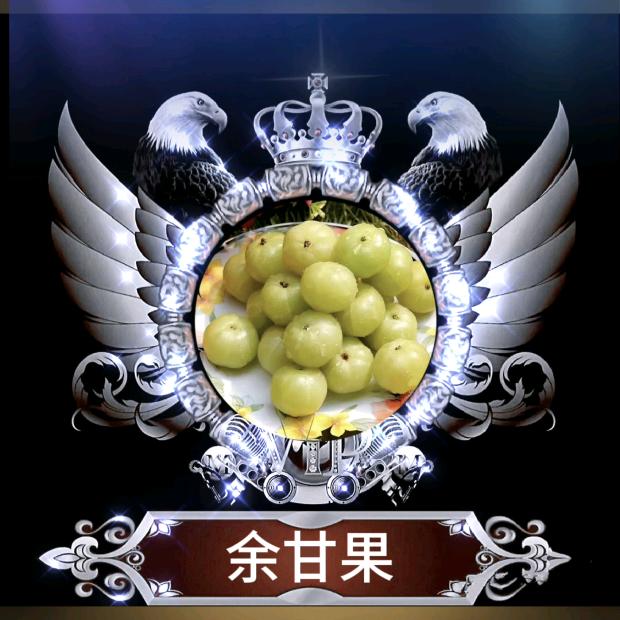 广西艺品轩