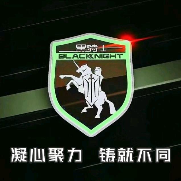 鄂州市赛鸽黑骑士电动车