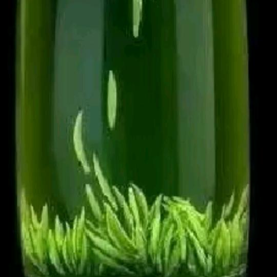 咱家茶园