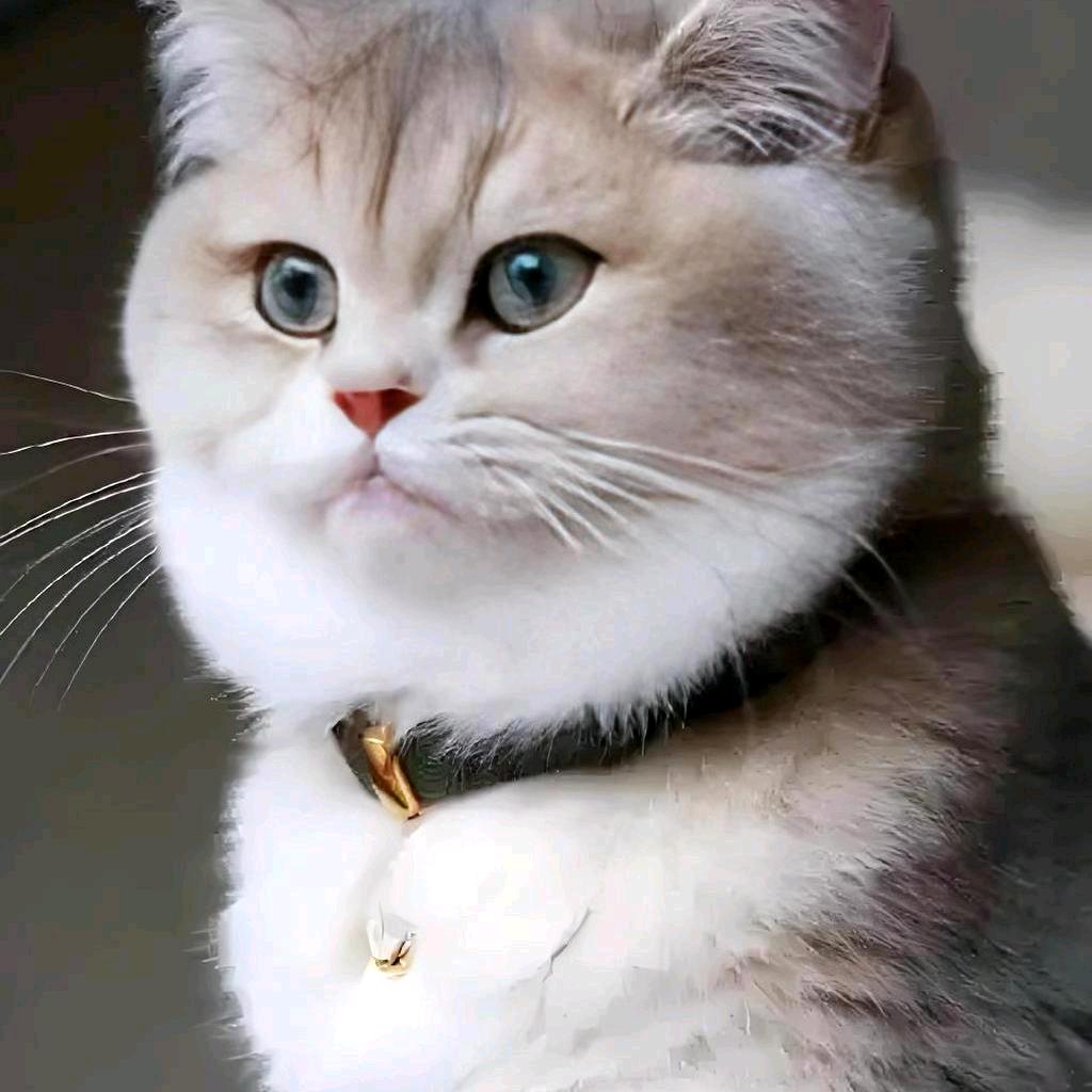 陈瑞
