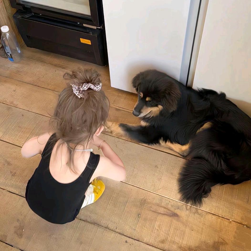 爱吃烧麦的小豆饭🍚