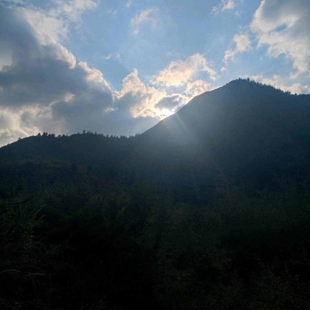 草原雄鹰。