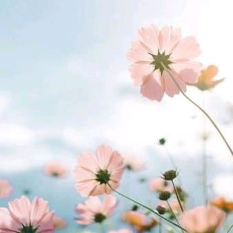 그 여름♡