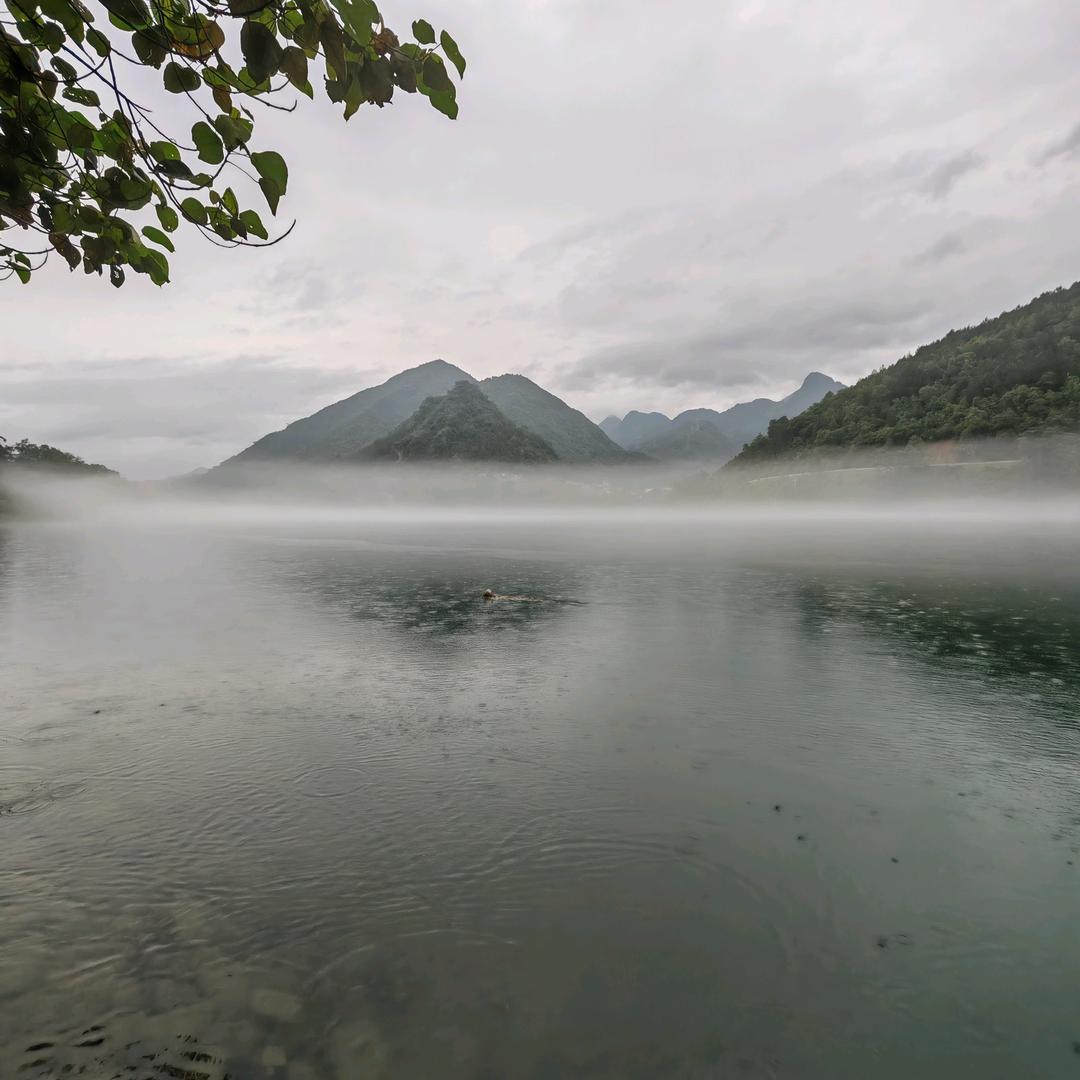 随心所遇
