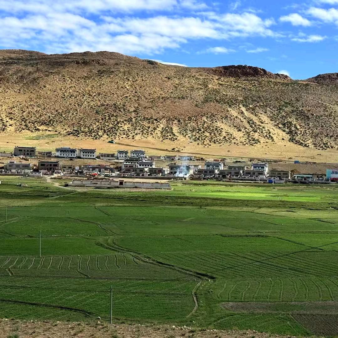 岗巴吉