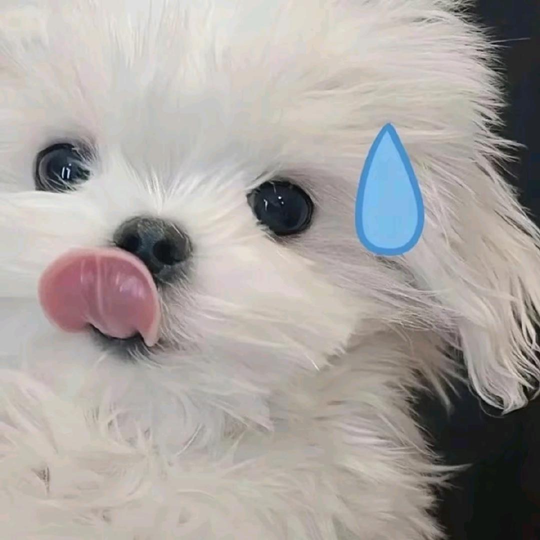 劫