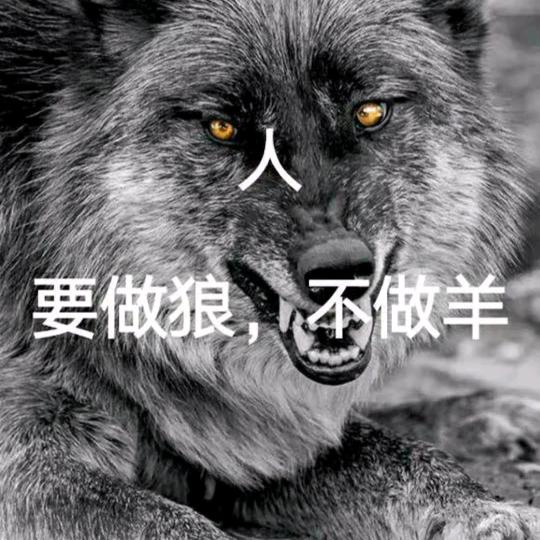 六哥