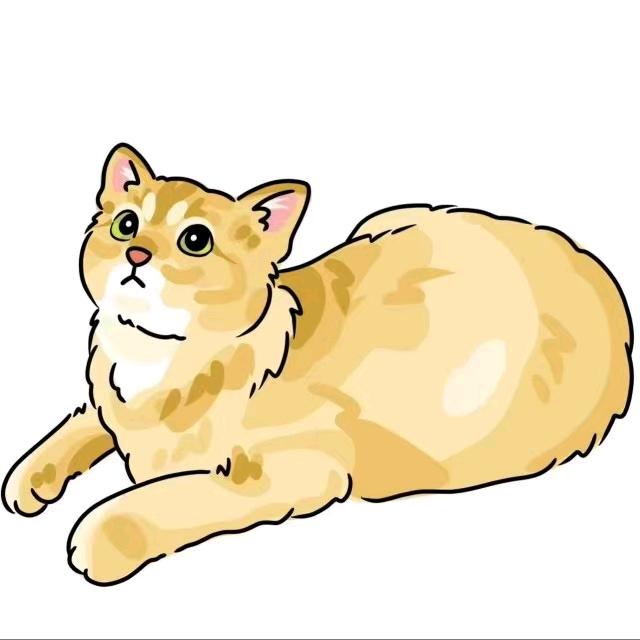 原始征途777（6）