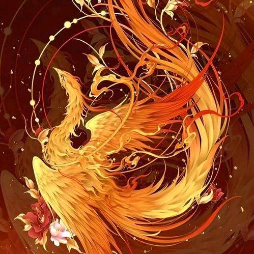 西安朝阳房产🏠