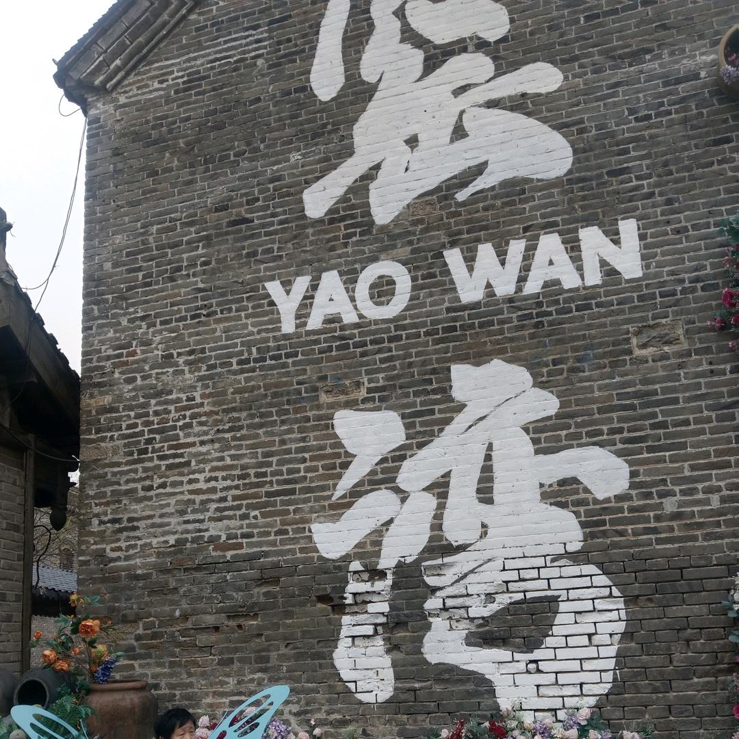 山茶花不懂白玫瑰