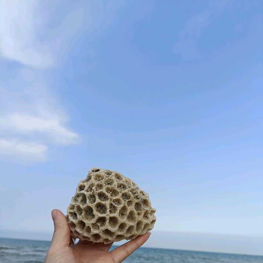 贵州袁记砂锅黄焖牛肉有限公司