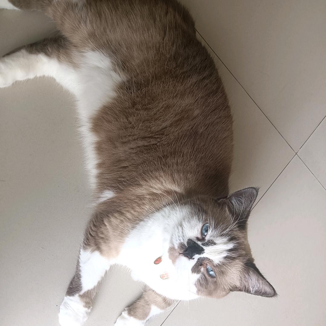 Кітай Расія