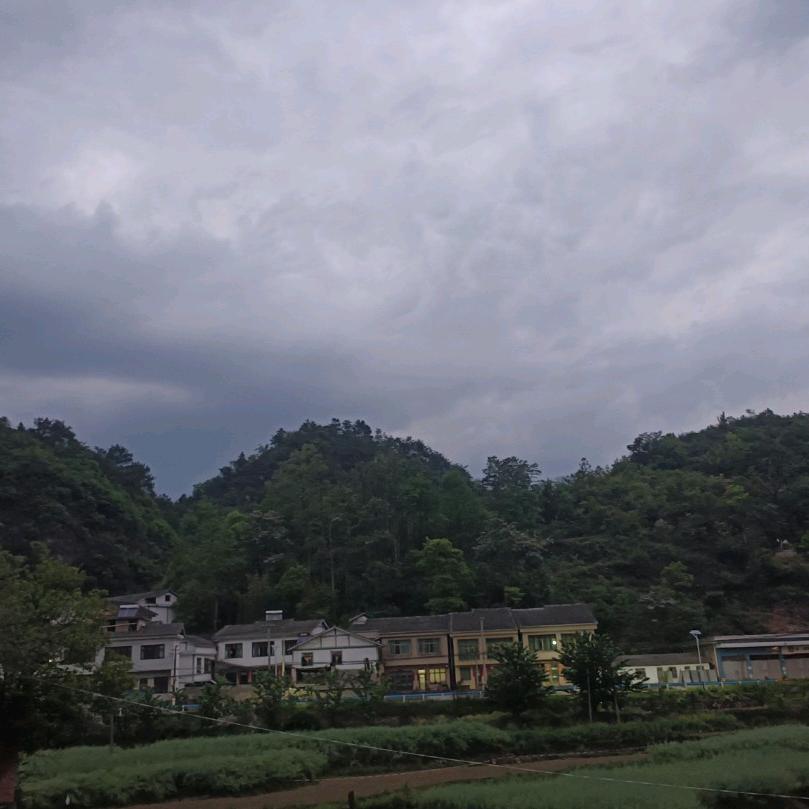 夏四妹