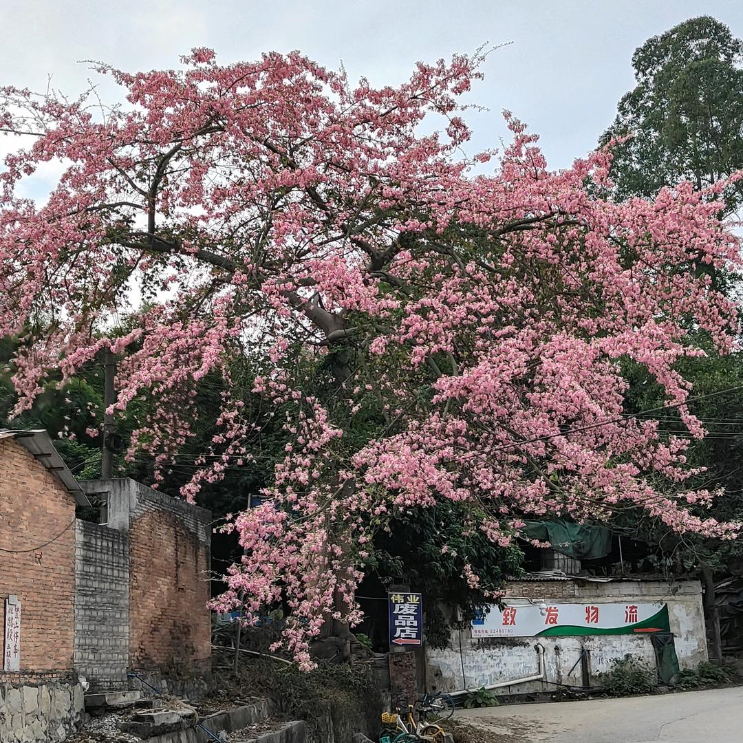 余生随心