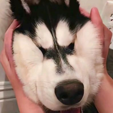 琳琳好物联播台