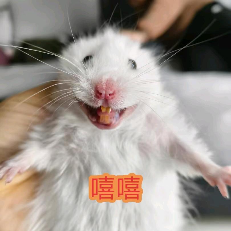 小妖