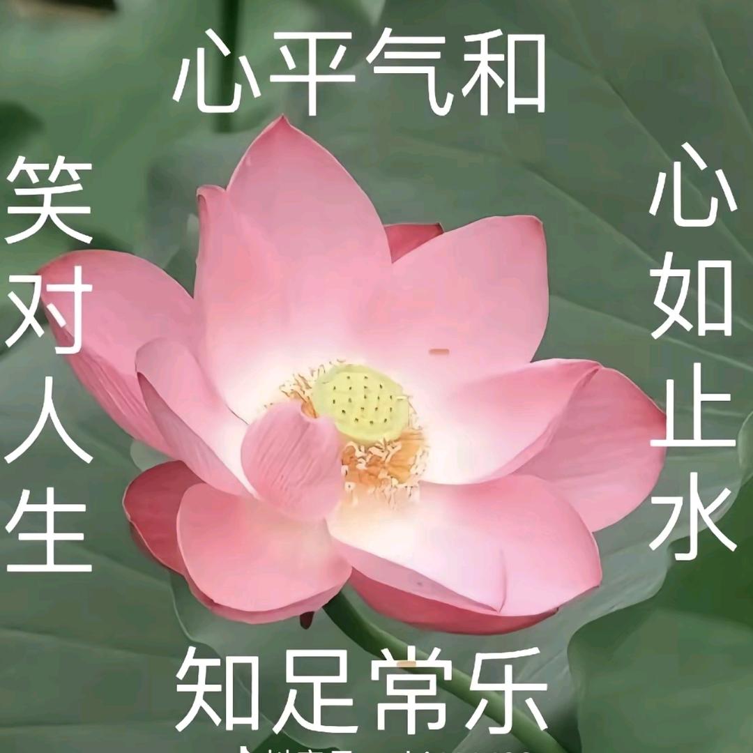 可爱的小天使