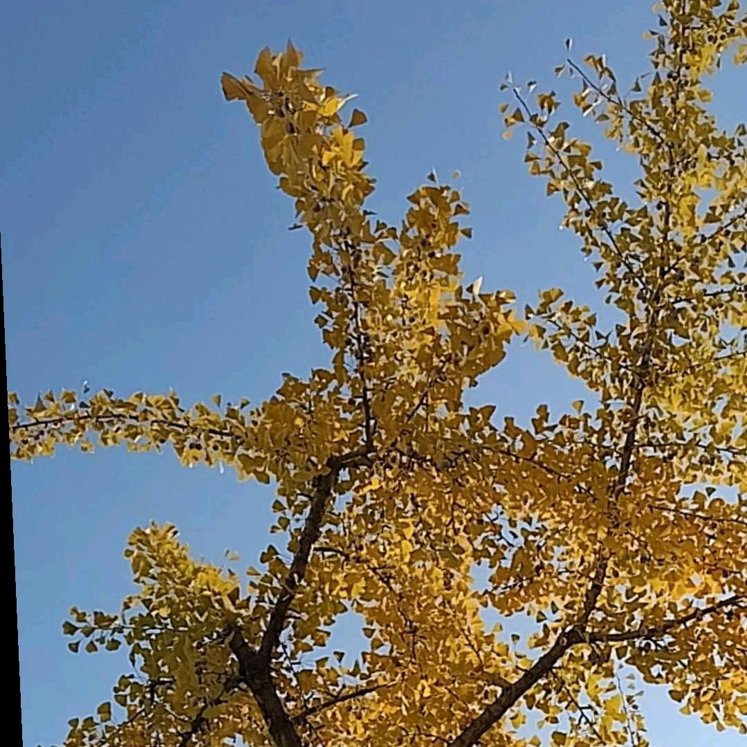 岁月因你而暖💞