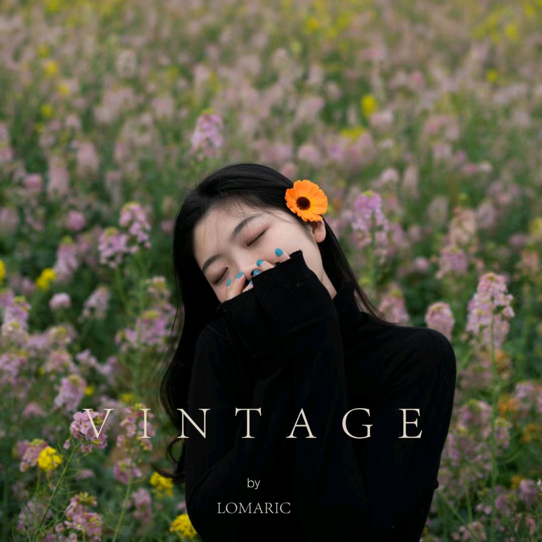 ꪔ̤̥ 小惜筑巢