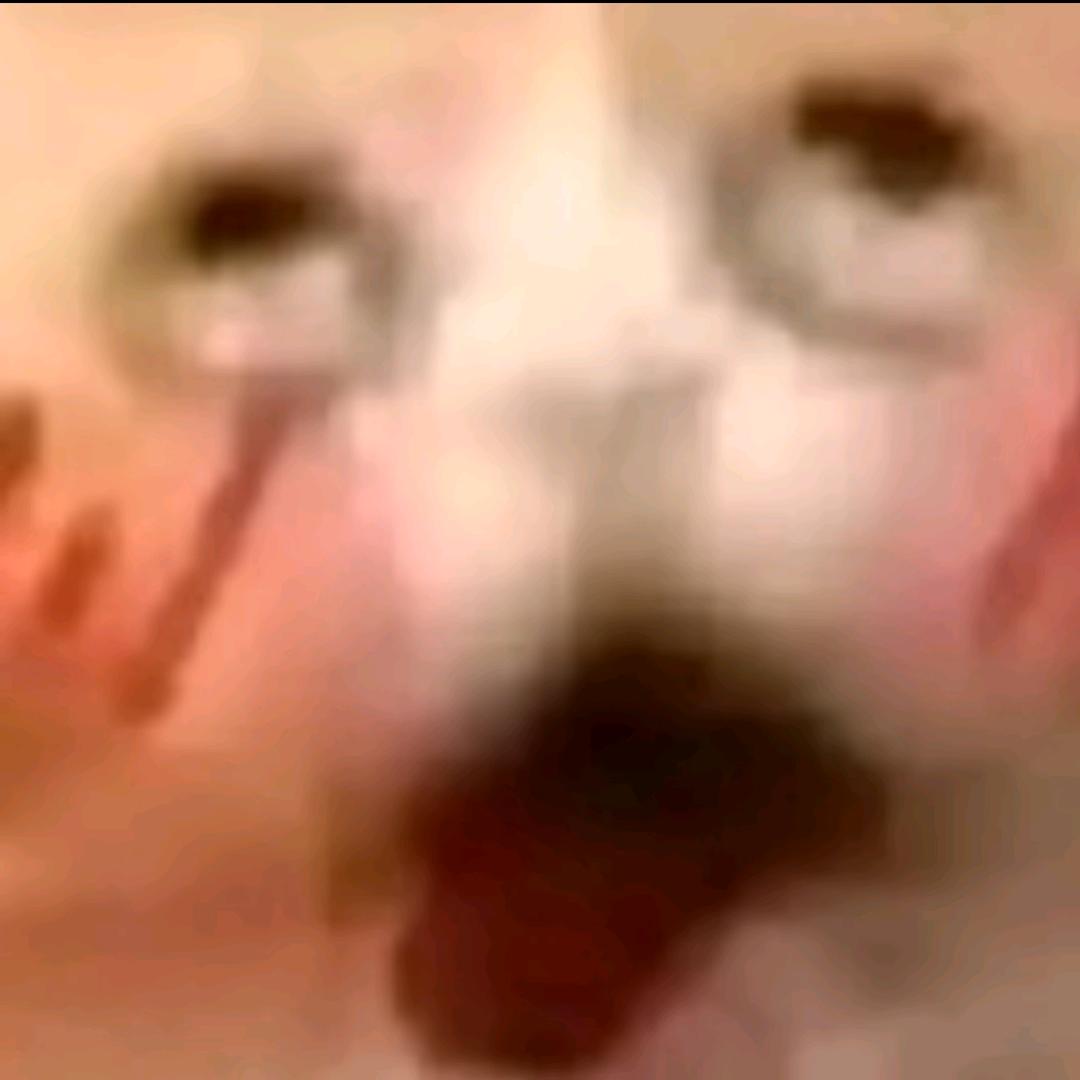 兴奋的南瓜