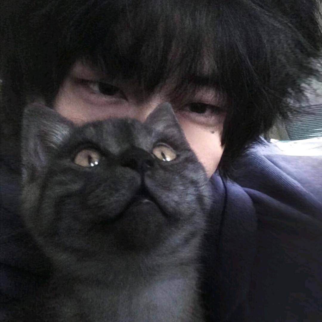 無.疑