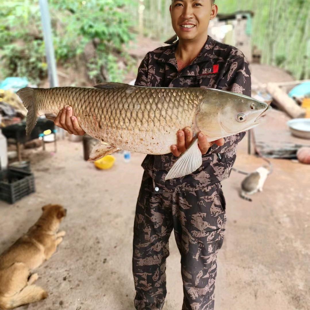 龙马江小春野钓基地