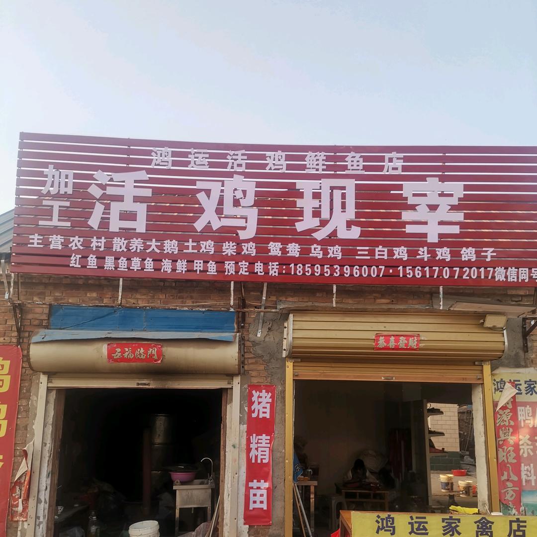 鸿运活鸡鲜鱼店（对接饭店）量大从优