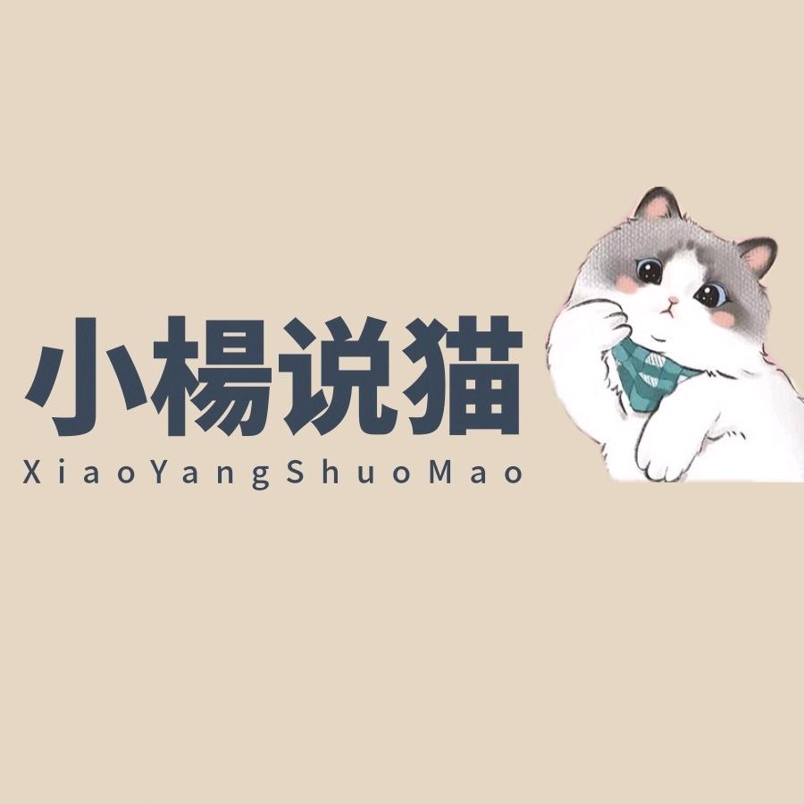 小楊说猫🐈