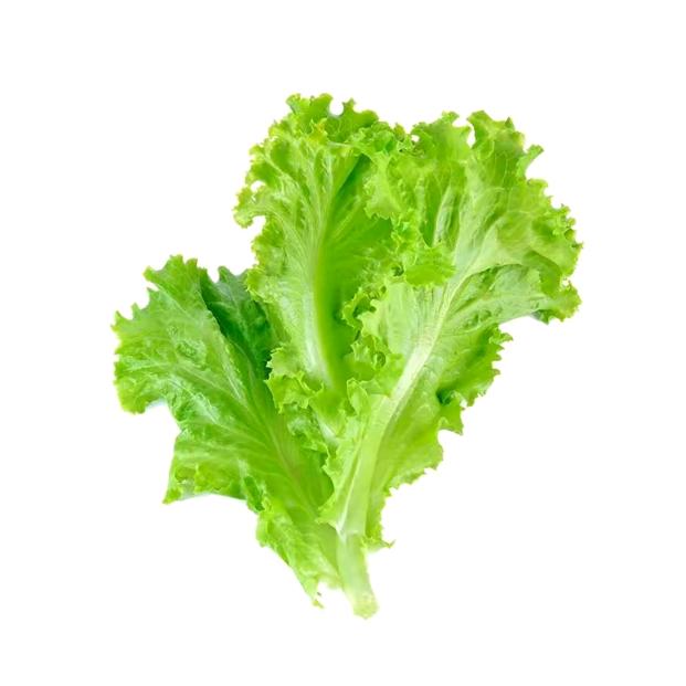 吐司泡泡