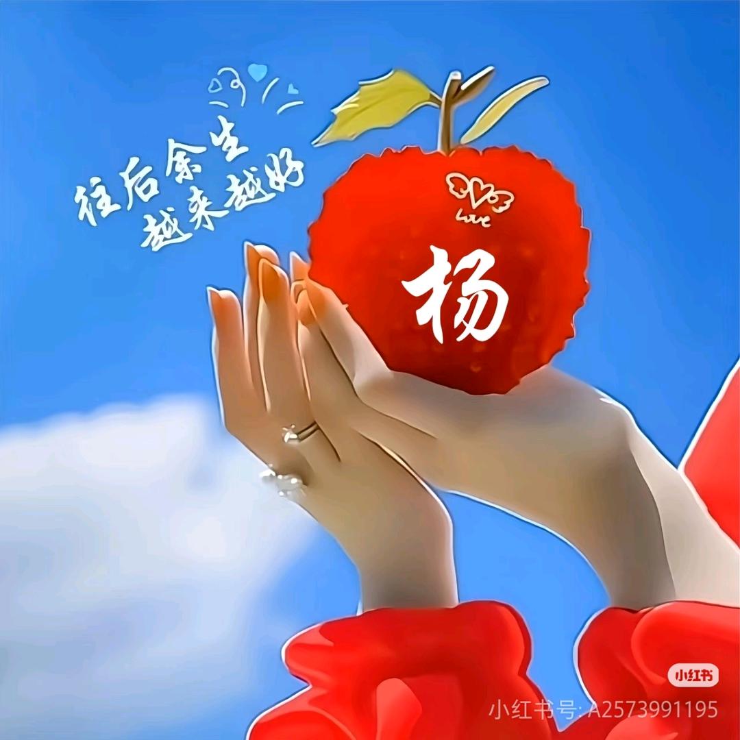 🍒杨～洋