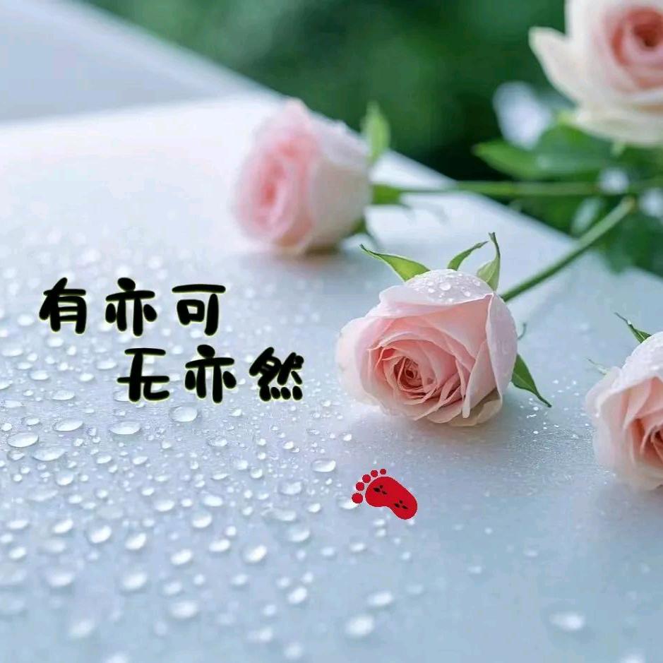 半夏微凉