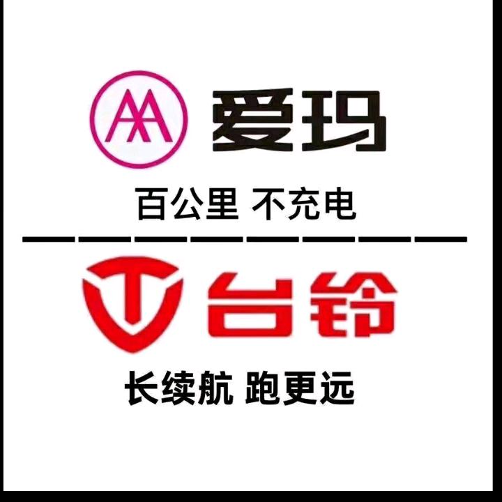 台铃长续航电动车