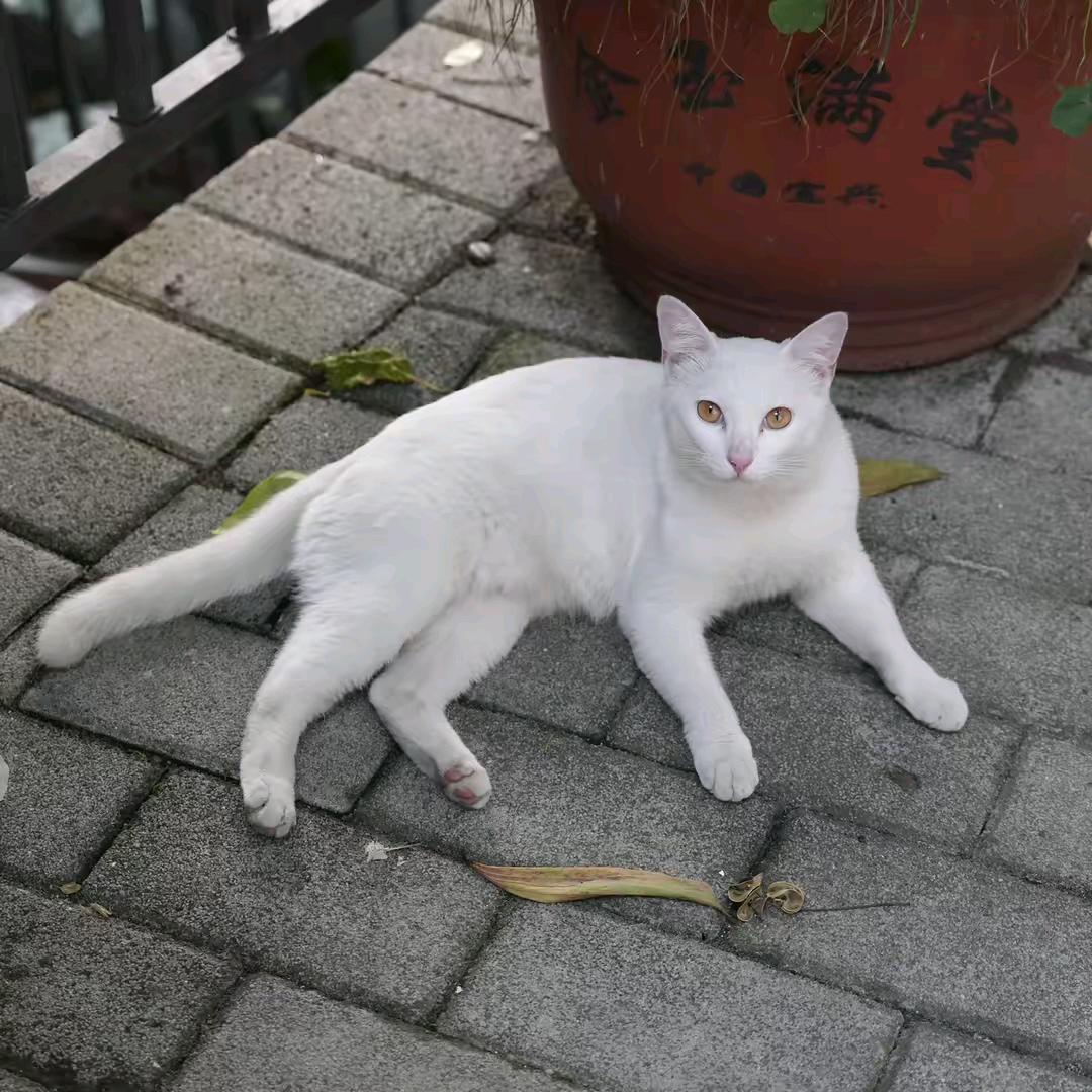 💗许你一生💗