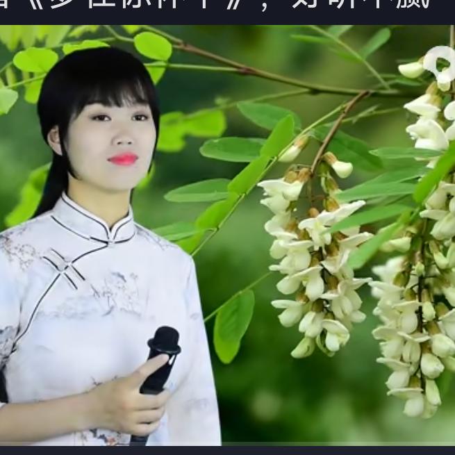 万水千山总是情