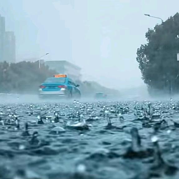 雨你同行