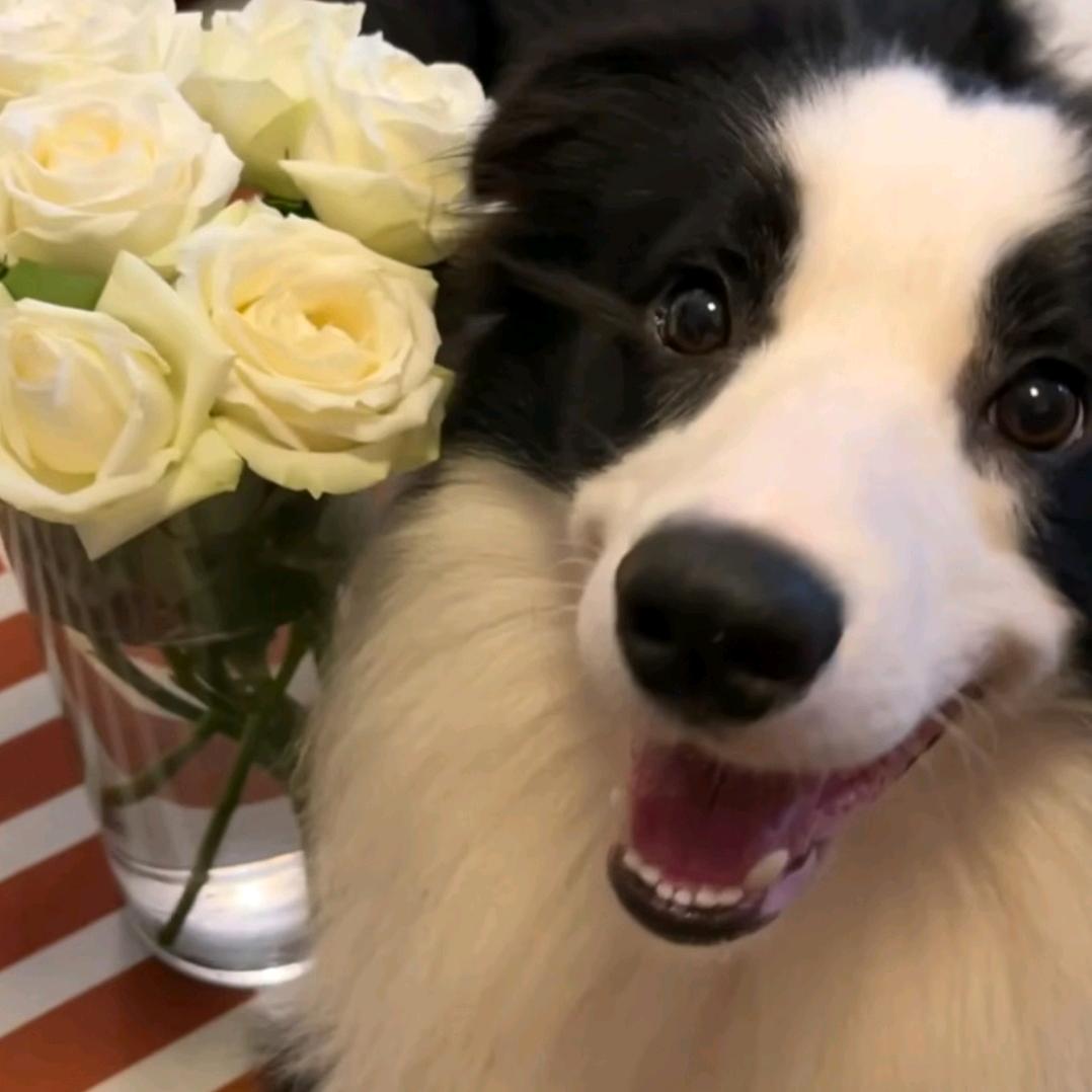 杳杳钟声晚（见过两次✌🏻陈奕迅版）