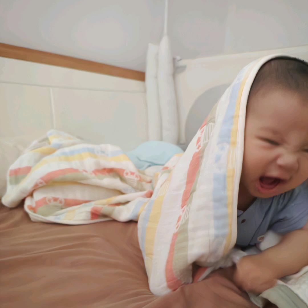 西冷雬茶